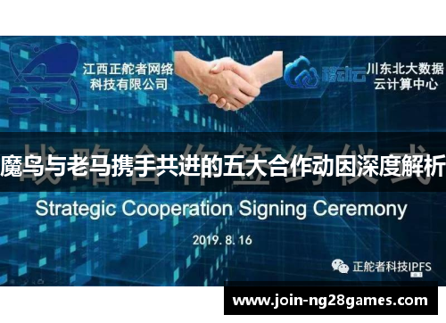 魔鸟与老马携手共进的五大合作动因深度解析